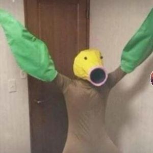 Meet your Posher, Levi